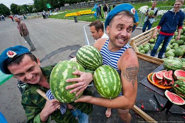 День ВДВ приколы