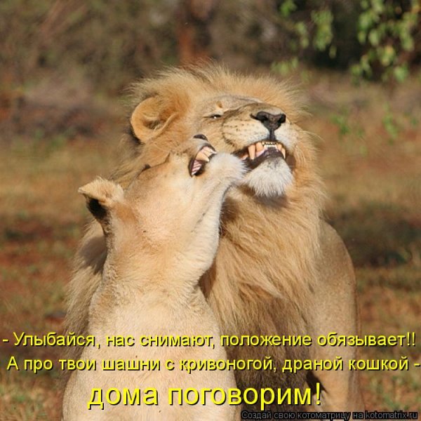 Львица с надписями
