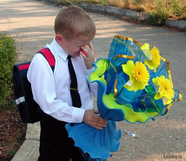 1 Сентября приколы