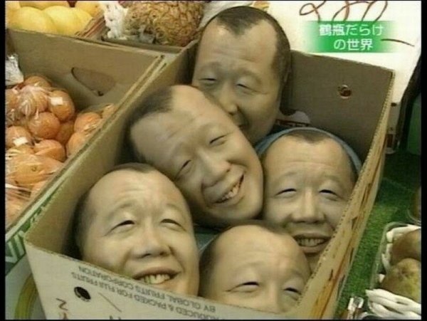 Кошка суши