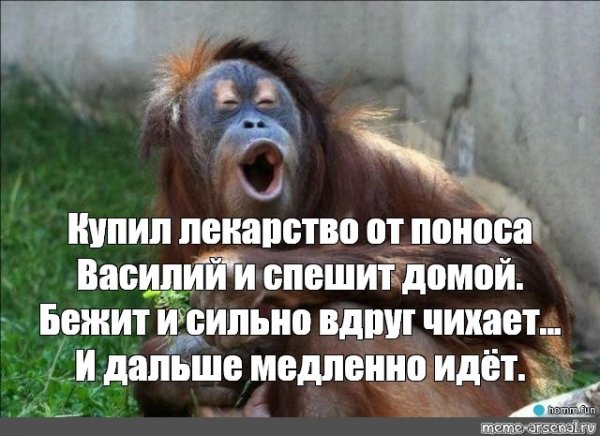 Прикольные мемы с обезьянами