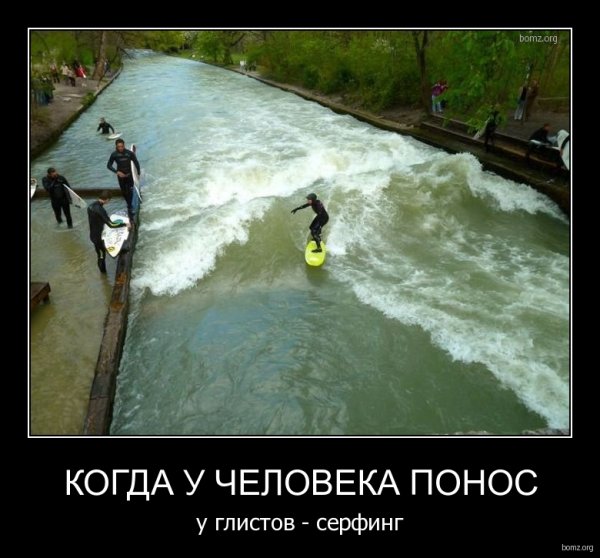 Унитаз с туалетной бумагой прикол