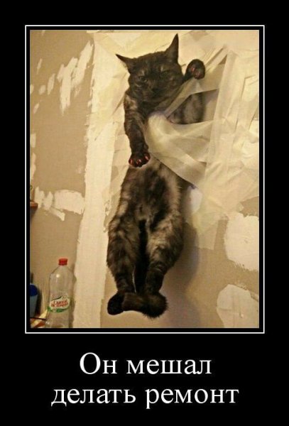 Шутки про ремонт в квартире