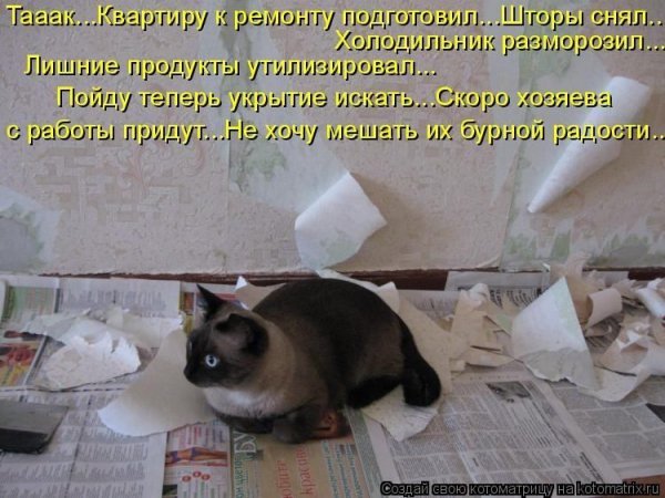 Поздравление с завершением ремонта