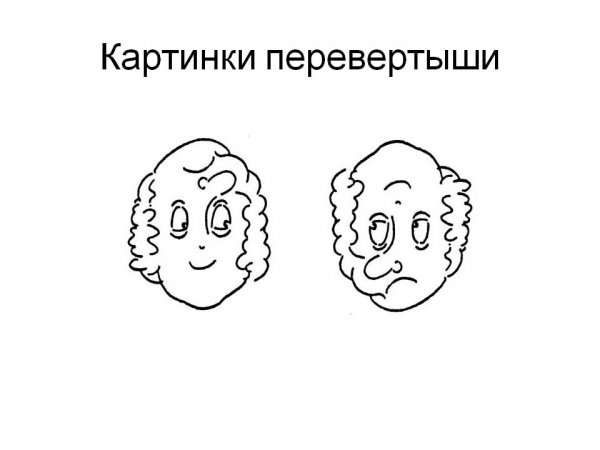 Лицо перевертыш