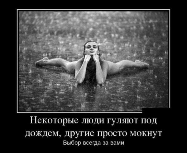 Дождь юмор