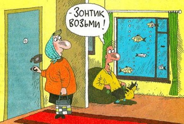 Дождь юмор