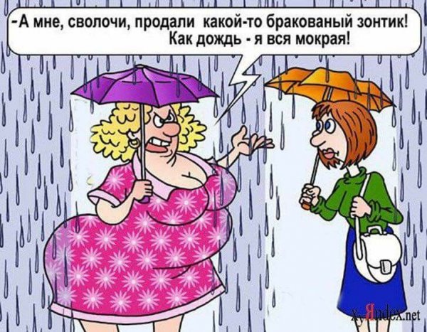 Анекдоты про толстушек с картинками