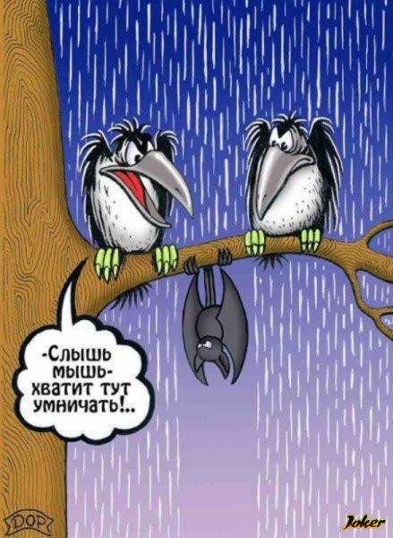 Веселые карикатуры