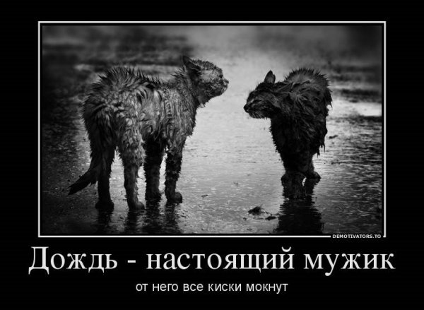 Настоящий мужик демотиватор