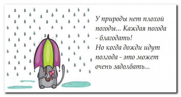 Смешные стихи про дождь