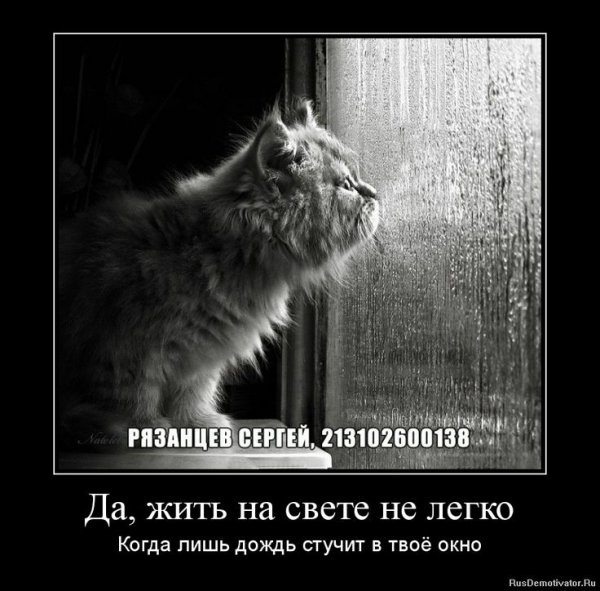 И опять дождь приколы