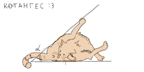 Прикольный рисунок про математику