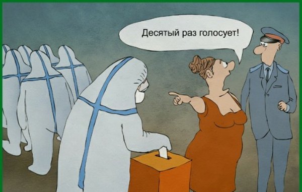 Голосуй карикатура