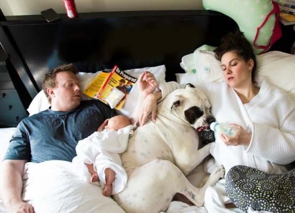 Забавные ситуации из жизни