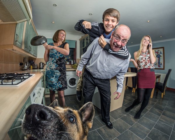 Сумасшедшая семейка