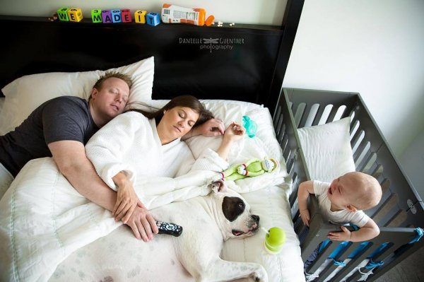 Смешные ситуации из жизни семьи