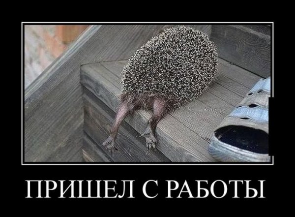 Мотиваторы усталость