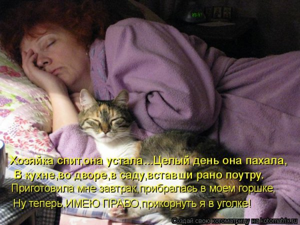 Морда спит она устала