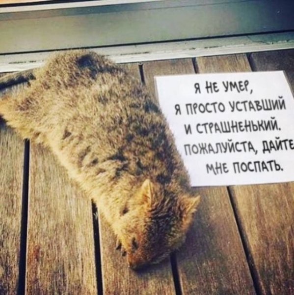 Приколы про усталость