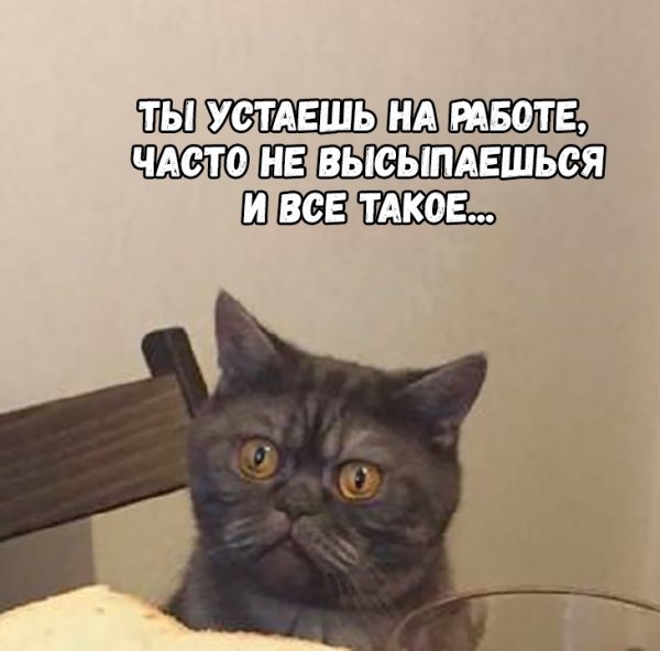 Устала на работе смешные