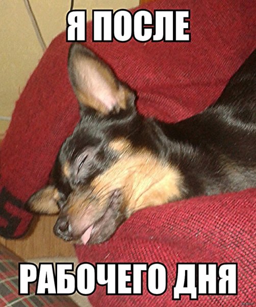 Устала картинки