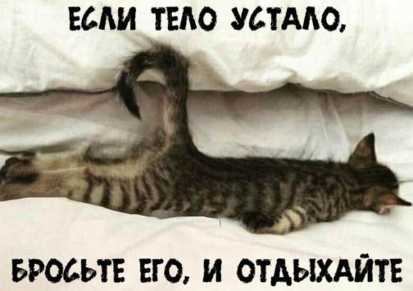 Если тело устало бросьте его и отдыхайте