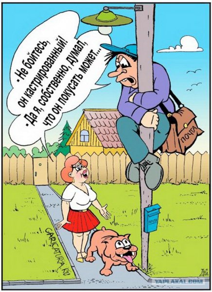 Карикатуры смешные