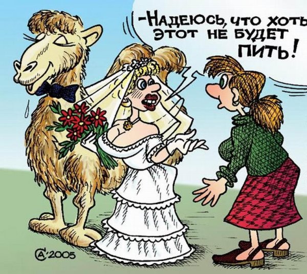 Карикатуры на женщин прикольные