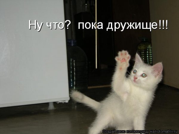Пока пока