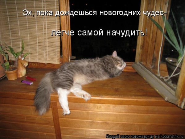Пока дождешься новогодних чудес легче самой начудить