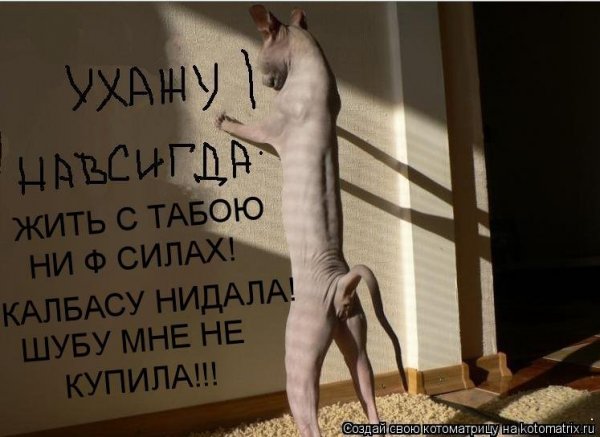 Пока картинки прикольные