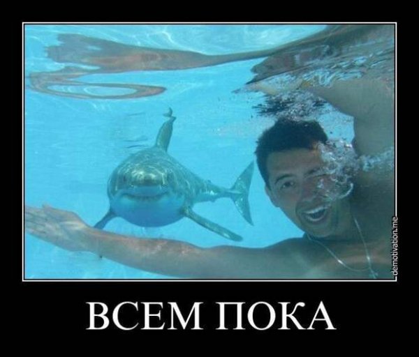 Всем пока фото