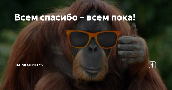 Шимпанзе спасибо за внимание