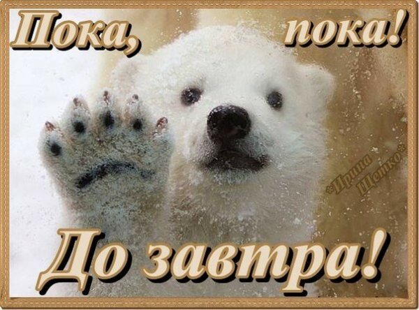 Пока до завтра