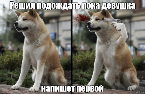 Я не Хатико