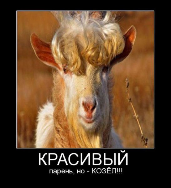 Прикольная коза