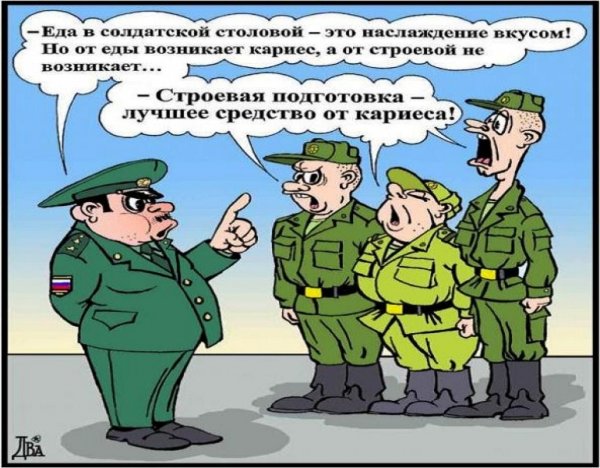 Карикатуры про армию смешные