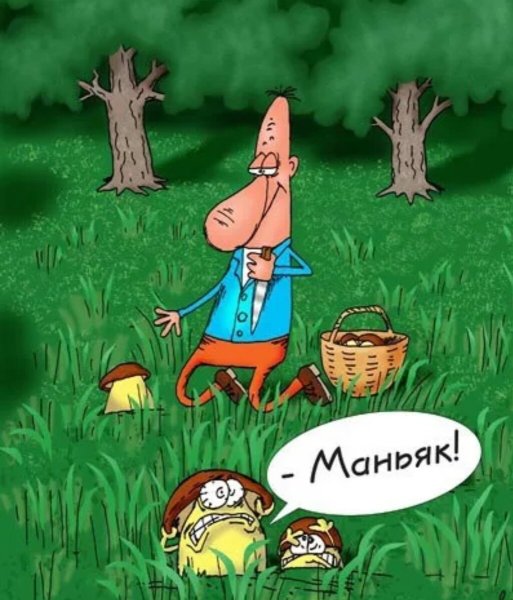Приколы про грибников
