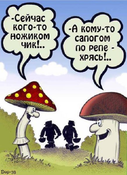 Грибы прикол