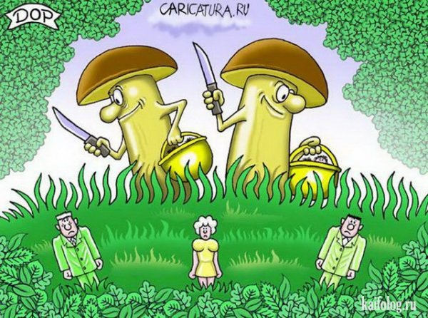 Грибы карикатура