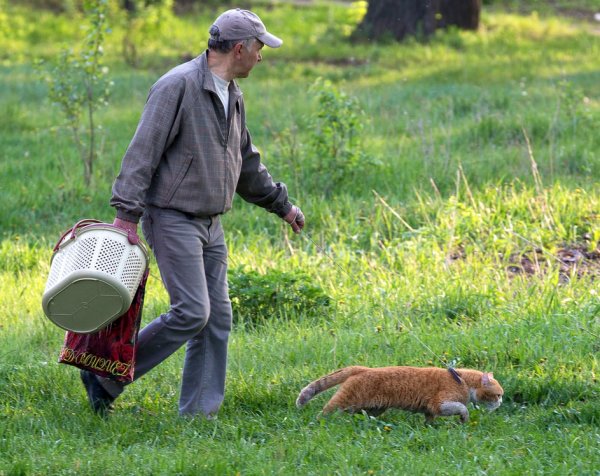 Прикольный грибник