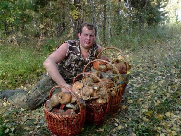 Грибники Курск