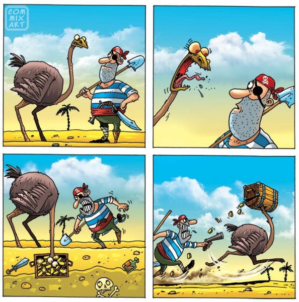 Приколы про страусов