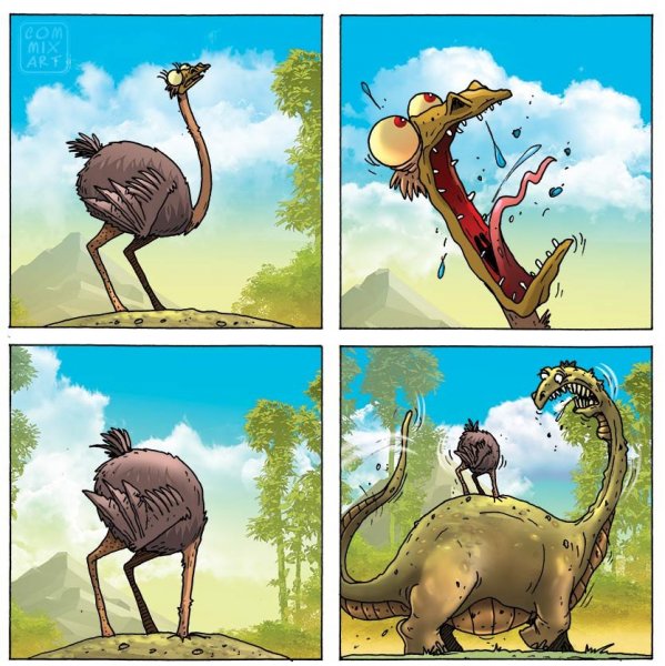 Страус карикатура