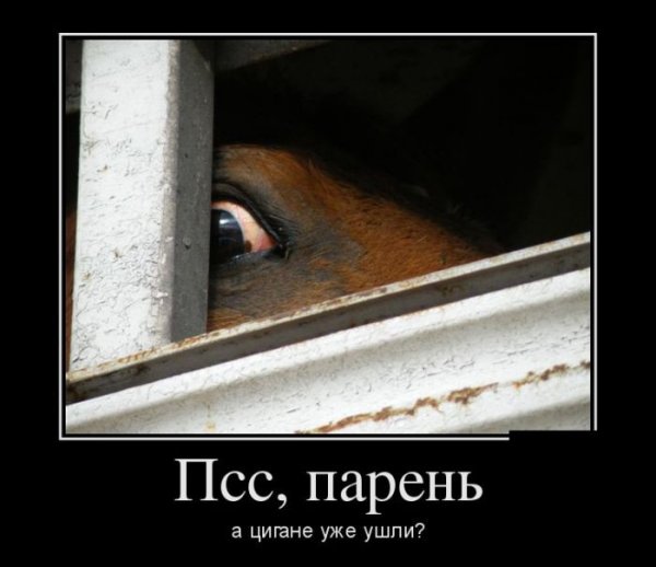 ПСС парень