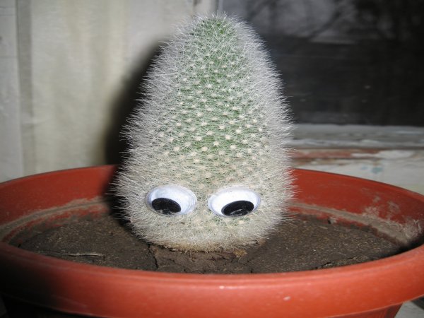 Забавный конец презентации