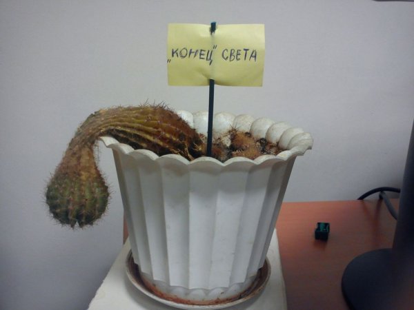 Презентация окончена спасибо за внимание