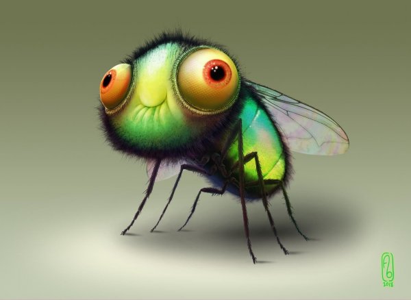 Смешная муха картинка (48 фото)