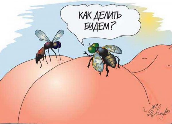 Насекомые карикатура